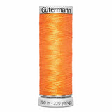 Tarte à la citrouille GUTERMANN Fil de rayonne Dekor 200m - 4001695