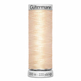 Bisque GUTERMANN Fil de rayonne Dekor 200m - 4003130