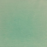 Jersey coton élasthanne vert pastel - 1860004